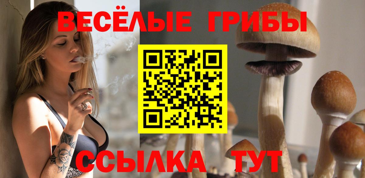 Псилоцибиновые грибы GOLDEN TEACHER  Вход с VPN  Лениногорск 