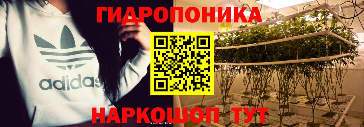Бошки Шишки Ganja  Вход с VPN  Бошки марихуана Bruce Banner  Бошки Шишки сатива  Лениногорск  Марихуана MAZAR 